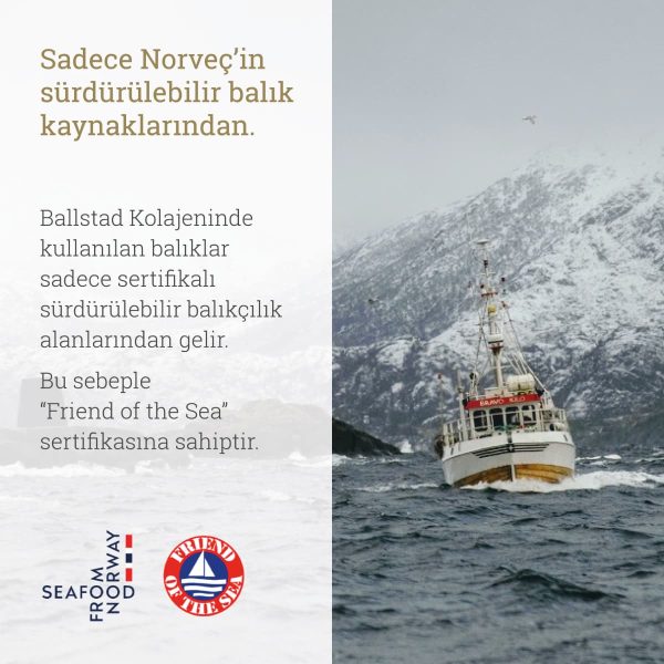 Ballstad-Somon-Kolajeni-8-1.jpg Ballstad Somon Kolajen