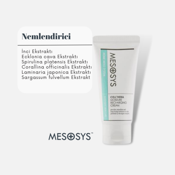 Cellthera-Moisture-Recharging-Cream-70-ml.png Cellthera Moisture Recharging Cream 70 ml