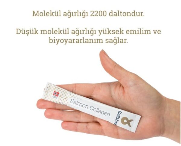 blst-2-1.jpg Ballstad Somon Kolajeni (32 Saşe)